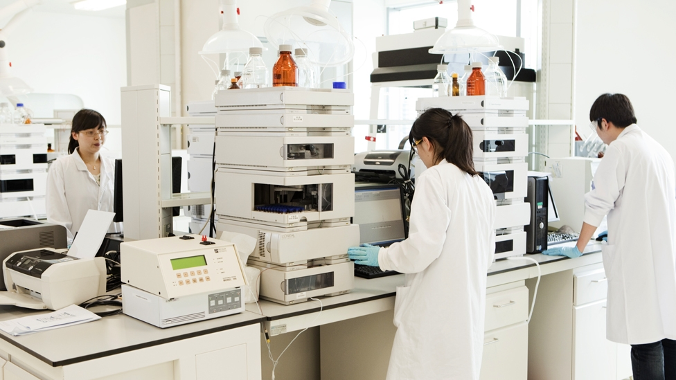 ការធ្វើតេស្តឌីអិុនអេ 